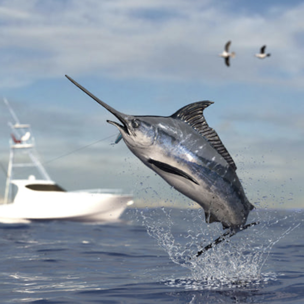 Conventional Offshore Fishing